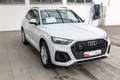 Audi Q5 S line 40 TDI qu. S tr.(Navi+,EPH+,KS,GRA,LED) Weiß - thumbnail 7