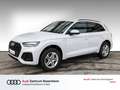 Audi Q5 S line 40 TDI qu. S tr.(Navi+,EPH+,KS,GRA,LED) Weiß - thumbnail 1