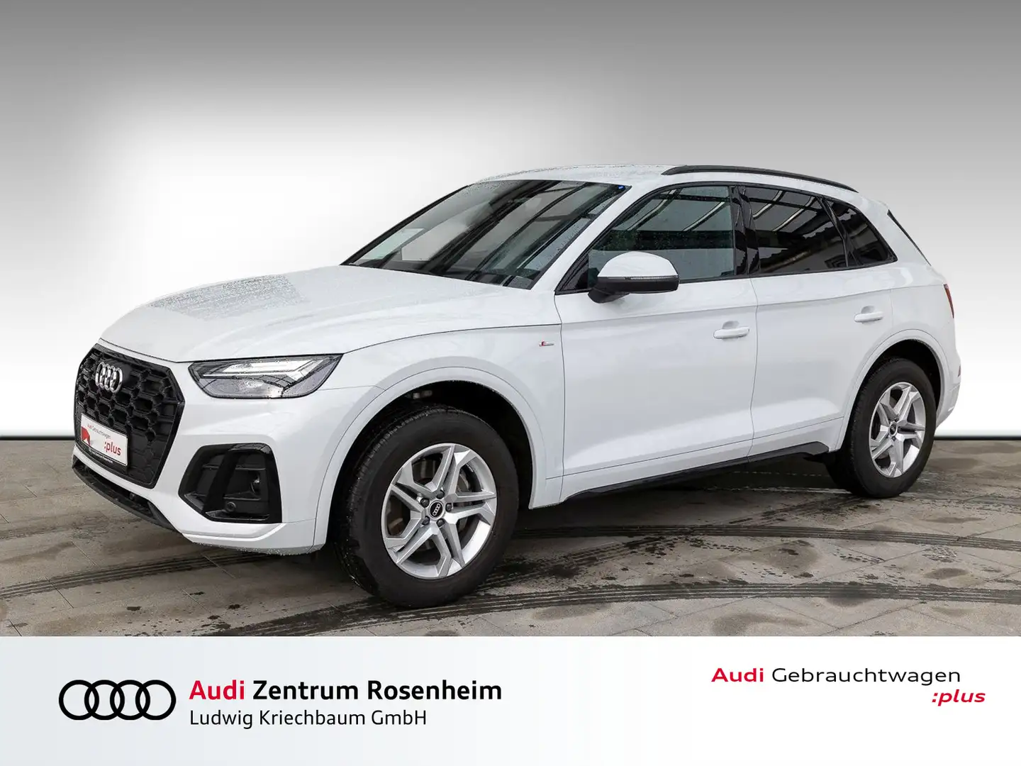 Audi Q5 S line 40 TDI qu. S tr.(Navi+,EPH+,KS,GRA,LED) Weiß - 1