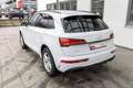 Audi Q5 S line 40 TDI qu. S tr.(Navi+,EPH+,KS,GRA,LED) Weiß - thumbnail 8