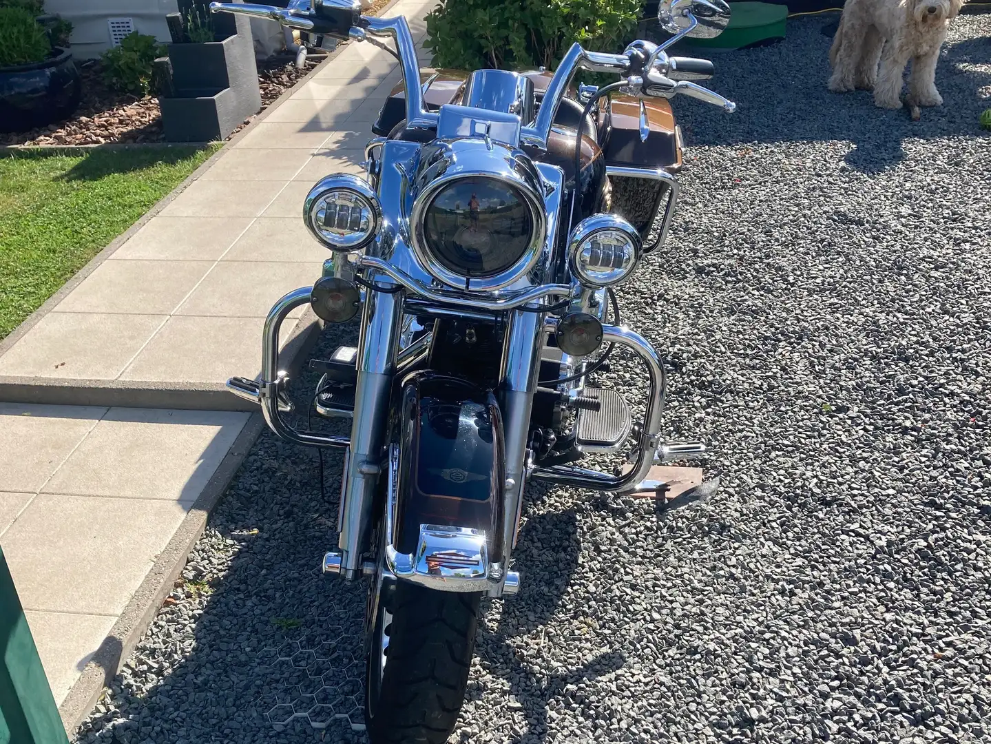 Harley-Davidson Road King 110 anv Brun - 2
