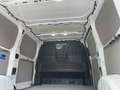 Ford Transit Custom Kasten 280 L1 Trend FWD Weiß - thumbnail 13