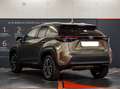 Toyota Yaris Cross 1.5h Lounge awd-i 116cv e-cvt Bronzo - thumbnail 4