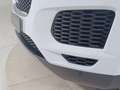 Jaguar E-Pace 2017 Diesel 2.0d i4 R-Dynamic HSE awd 150cv auto Bianco - thumbnail 20