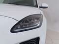 Jaguar E-Pace 2017 Diesel 2.0d i4 R-Dynamic HSE awd 150cv auto Bianco - thumbnail 18