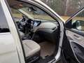 Hyundai Grand Santa Fe Premium 4WD Aut. 7 Sitze, St.hzg. Beige - thumbnail 13