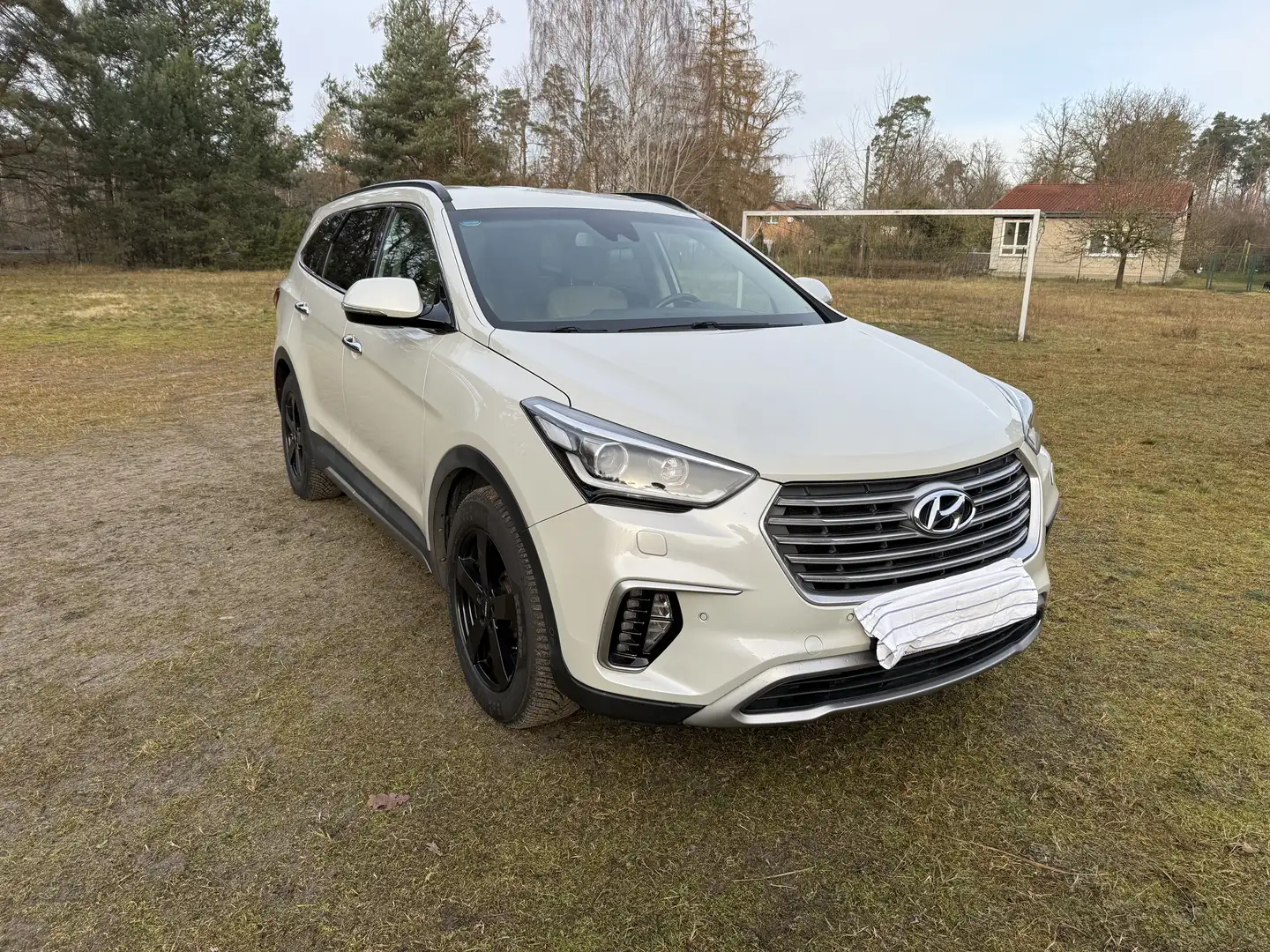 Hyundai Grand Santa Fe Premium 4WD Aut. 7 Sitze, St.hzg. Beige - 2