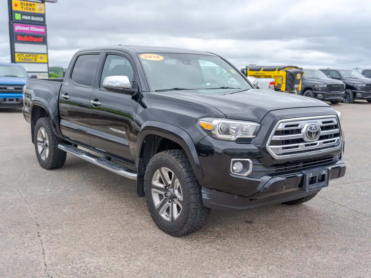 Toyota Tacoma fotografie Toyota Tacoma
