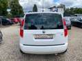 Skoda Roomster 1.2l TSI 63kW Style Sitzheizung PDC Fehér - thumbnail 8
