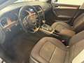 Audi A5 Audi A5 SPB 2.0 TDI 177 CV S Tronic Plus S Line Silver - thumbnail 11