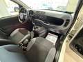Fiat Panda 1.3 MJT 95 CV S&S Easy Weiß - thumbnail 10