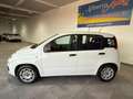 Fiat Panda 1.3 MJT 95 CV S&S Easy Weiß - thumbnail 5