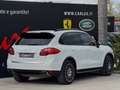 Porsche Cayenne 3.0 V6 TDI 245CV Tiptronic TETTO SOSPENSIONI Bianco - thumbnail 9