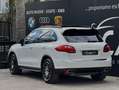 Porsche Cayenne 3.0 V6 TDI 245CV Tiptronic TETTO SOSPENSIONI Bianco - thumbnail 7