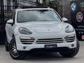 Porsche Cayenne 3.0 V6 TDI 245CV Tiptronic TETTO SOSPENSIONI Bianco - thumbnail 11