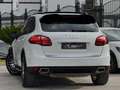 Porsche Cayenne 3.0 V6 TDI 245CV Tiptronic TETTO SOSPENSIONI Bianco - thumbnail 13
