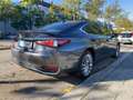 Lexus ES 300 h Luxury Line HeadUp Facelift Šedá - thumbnail 4