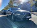 Lexus ES 300 h Luxury Line HeadUp Facelift siva - thumbnail 5