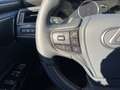 Lexus ES 300 h Luxury Line HeadUp Facelift Grau - thumbnail 16
