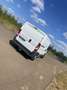 Citroen Jumper TOLE 33 L1H1 BLUEHDi 110 BVM6 BUSINESS - thumbnail 4