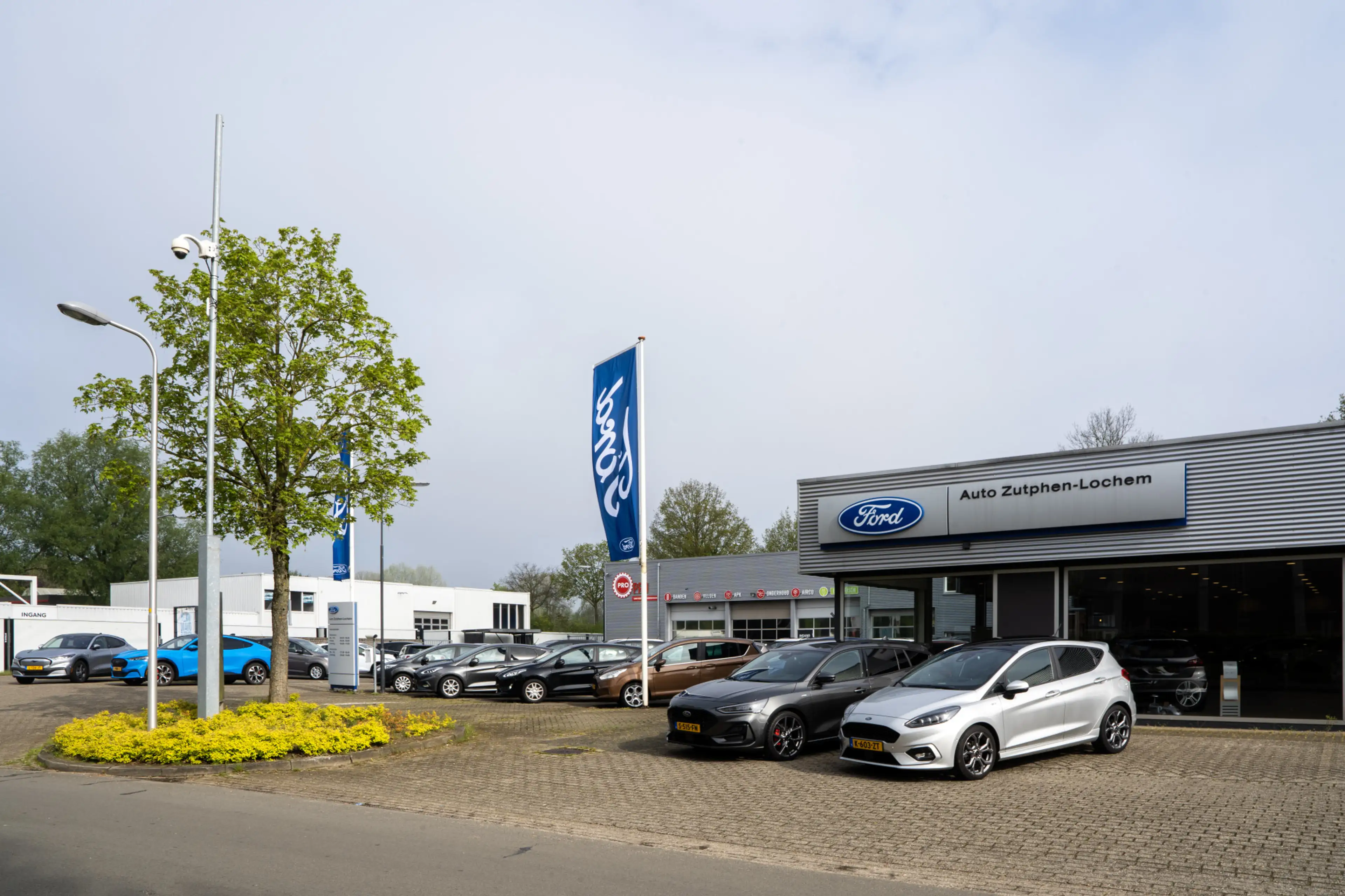 Ford Puma 1.0 EcoBoost Hybrid ST-Line X 125pk | WINTERPACK | — photo 6
