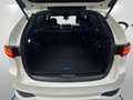 Mazda CX-80 3.3L e-SKYACTIV D 254ps Білий - thumbnail 5