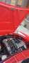 Alfa Romeo Spider 1.6 Duetto " osso di seppia " 1° serie Rouge - thumbnail 18