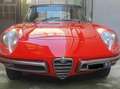 Alfa Romeo Spider 1.6 Duetto " osso di seppia " 1° serie Rosso - thumbnail 3