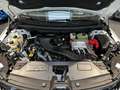 Renault Austral Iconic E-Tech Full Hybrid 200PS Білий - thumbnail 3