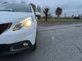 Peugeot 2008 1.2 puretech Allure s&s 82cv Bianco - thumbnail 6