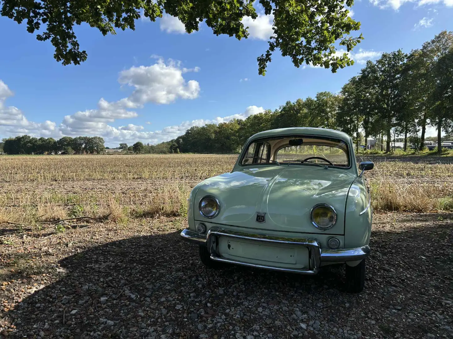 Renault Dauphine Ondine GORDINI Зелений - 1