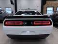 Dodge Challenger SRT /Pano/Carbon/Alcantara/TOP Blanc - thumbnail 5