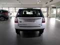 Land Rover Freelander Freelander 2.2 TD4 S.W. SE Blanc - thumbnail 5