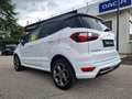 Ford EcoSport 1.5 TDCi 100 CV Start&Stop ST-Line Plus Bianco - thumbnail 4