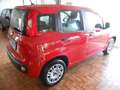 Fiat Panda 1.2 Easy Seminuova! Rosso - thumbnail 3