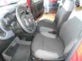 Fiat Panda 1.2 Easy Seminuova! Rosso - thumbnail 6