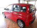Fiat Panda 1.2 Easy Seminuova! Rosso - thumbnail 4