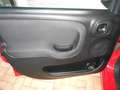 Fiat Panda 1.2 Easy Seminuova! Rosso - thumbnail 5