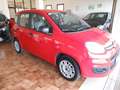 Fiat Panda 1.2 Easy Seminuova! Rosso - thumbnail 2