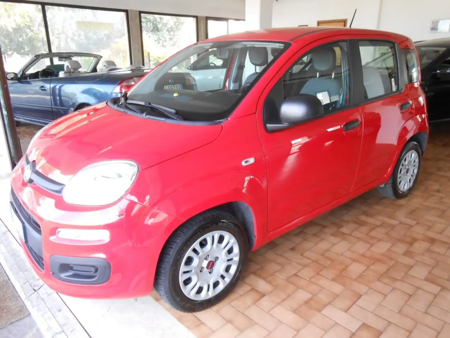 Fiat Panda 1.2 Easy Seminuova! Rosso - 1