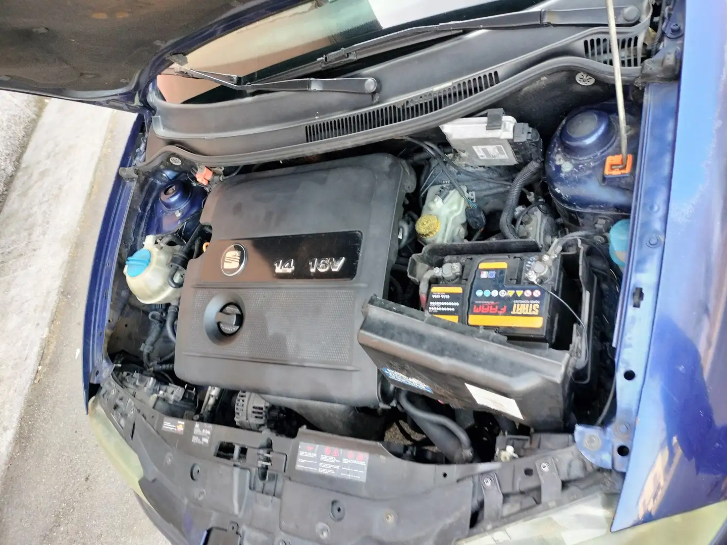 SEAT Ibiza 5p 1.4 16v Stella - 2