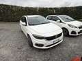 Fiat Tipo SW 1.6 mjt Lounge s&s 120cv Bianco - thumbnail 3