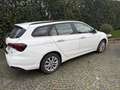Fiat Tipo SW 1.6 mjt Lounge s&s 120cv Bianco - thumbnail 6