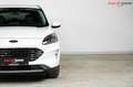 Ford Kuga Titanium X | TRAUMZUSTAND | Head-Up | Winter Paket Weiß - thumbnail 10