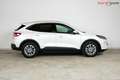 Ford Kuga Titanium X | TRAUMZUSTAND | Head-Up | Winter Paket Weiß - thumbnail 4