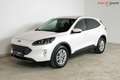 Ford Kuga Titanium X | TRAUMZUSTAND | Head-Up | Winter Paket Weiß - thumbnail 8