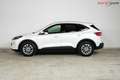 Ford Kuga Titanium X | TRAUMZUSTAND | Head-Up | Winter Paket Weiß - thumbnail 9