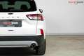 Ford Kuga Titanium X | TRAUMZUSTAND | Head-Up | Winter Paket Weiß - thumbnail 13