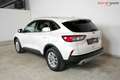 Ford Kuga Titanium X | TRAUMZUSTAND | Head-Up | Winter Paket Weiß - thumbnail 7