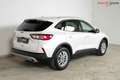 Ford Kuga Titanium X | TRAUMZUSTAND | Head-Up | Winter Paket Weiß - thumbnail 5